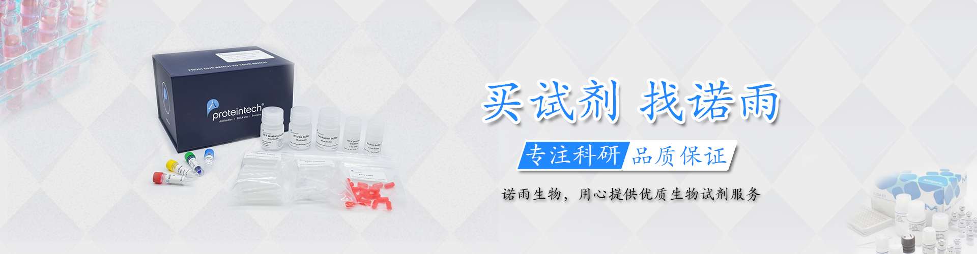 单克隆抗体